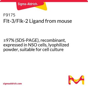 Flt-3/Flk-2 Ligand from mouse &#8805;97% (SDS-PAGE), recombinant, expressed in NSO cells, lyophilized powder, suitable for cell culture