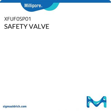 SAFETY VALVE