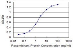 Monoclonal Anti-PIM3, (C-terminal) antibody produced in mouse clone 4A9, purified immunoglobulin, buffered aqueous solution