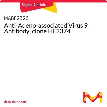 Anti-Adeno-associated Virus 9 Antibody, clone HL2374