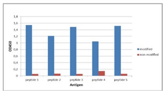 Anti-Modified Citrulline Antibody, clone C4 clone C4, from human(Recombinant)