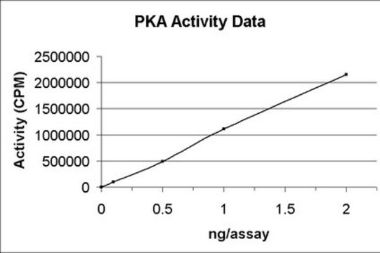 PKA Protein, Recombinant, 10 &#181;g Recombinant human full length PKA, catalytic subunit type alpha, untagged, for use in Kinase Assays.