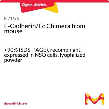 E-Cadherin/Fc Chimera from mouse &gt;90% (SDS-PAGE), recombinant, expressed in NSO cells, lyophilized powder