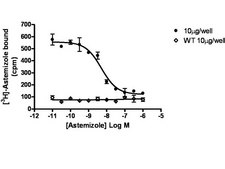 PrecisION® hERG ion channel membrane preparation Human ERG ion channel membrane preparation for Radioligand binding Assays.