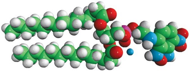 14:0 NBD PE Avanti Polar Lipids 810143P, powder