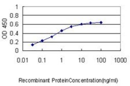 Monoclonal Anti-APBB2 antibody produced in mouse clone 2D8, purified immunoglobulin, buffered aqueous solution