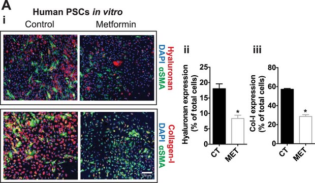 抗-肌动蛋白, &#945;-平滑肌- Cy3&#8482;抗体，小鼠单克隆 clone 1A4, purified from hybridoma cell culture