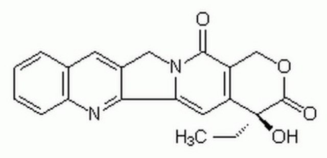 Camptothecin, Camptotheca acuminata A cell-permeable DNA topoisomerase I inhibitor.