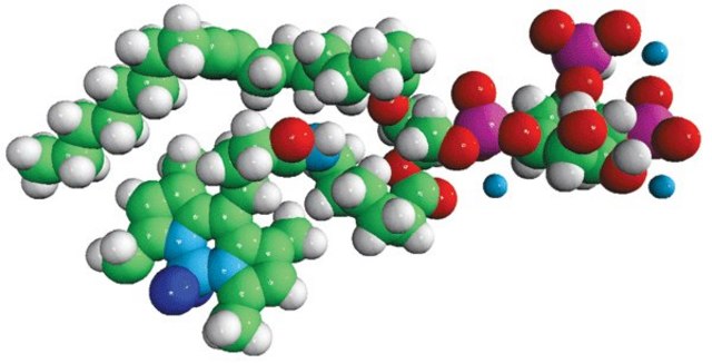 TopFluor&#174; PI(4,5)P2 Avanti Polar Lipids 810184P, powder