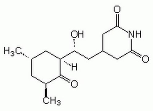 Cycloheximide, High Purity Antifungal antibiotic that inhibits protein synthesis in eukaryotes but not in prokaryotes.