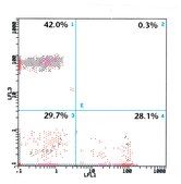 Monoclonal Anti-CD8−FITC antibody produced in mouse clone UCHT-4, purified immunoglobulin, buffered aqueous solution