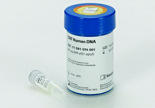 COT人源DNA from human placenta DNA, enriched for repetitive sequences