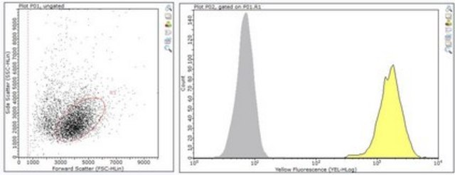 Anti-PD-1 Antibody, clone G4 clone G4, from hamster(Armenian)