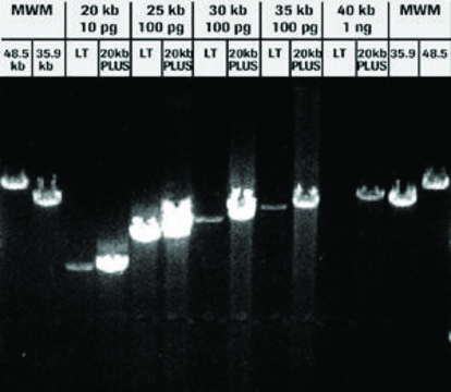 扩展型&#8482; 20 kbPLUS PCR System sufficient for &#8804;40&#160;reactions, pkg of 200&#160;U, suitable for PCR