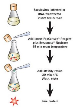 Insect PopCulture&#174; 试剂 Protein extraction directly from insect cell cultures