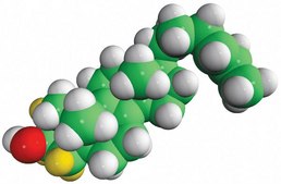 zymosterol-d5 Avanti Research™ - A Croda Brand