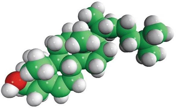 Cholesterol (plant) Avanti Research&#8482; - A Croda Brand