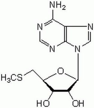 5&#8242;-脱氧-5&#8242;-甲硫腺苷 A cell-permeable, reversible, and ATP-competitive naturally-occurring co-product of polyamine biosynthesis that acts as an endogenous substrate of methylthioadenosine phosphorylase (MTAP).