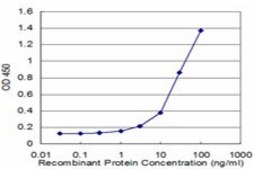 Monoclonal Anti-RPL32 antibody produced in mouse clone 1B11, purified immunoglobulin, buffered aqueous solution