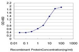 Monoclonal Anti-PDZD8 antibody produced in mouse clone 4E3, purified immunoglobulin, buffered aqueous solution