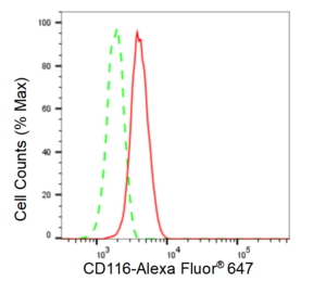 Anti CD116 Antibody, clone 23GB5695, Rabbit Monoclonal clone 23GB5695, recombinant rabbit monoclonal, expressed in HEK293 cells