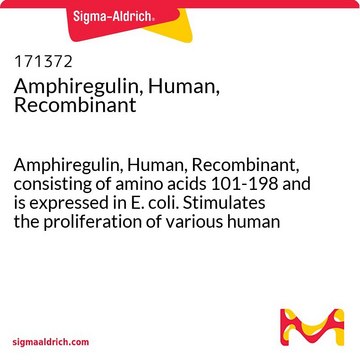 Amphiregulin, Human, Recombinant Amphiregulin, Human, Recombinant, consisting of amino acids 101-198 and is expressed in E. coli. Stimulates the proliferation of various human and mouse keratinocytes.