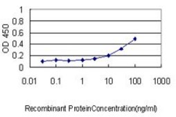 Monoclonal Anti-IL11RA antibody produced in mouse clone 2D4-F4, purified immunoglobulin, buffered aqueous solution