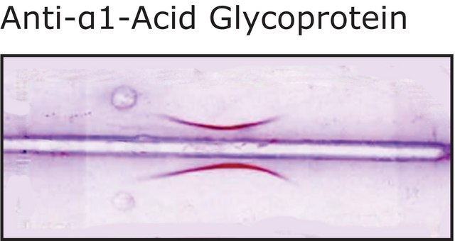 Anti-&#945;1-Acid Glycoprotein antibody produced in goat whole antiserum