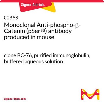 Monoclonal Anti-phospho-&#946;-Catenin (pSer33) antibody produced in mouse clone BC-76, purified immunoglobulin, buffered aqueous solution