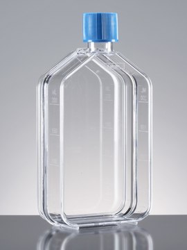 Corning&#174; Falcon&#174; Cell Culture Flask capacity 150&#160;mL, canted neck, graduated, 10 &#8209; 200&#160;mL, cap, blue vented