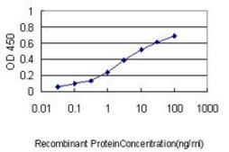 Monoclonal Anti-KNTC2 antibody produced in mouse clone 1A10, purified immunoglobulin, buffered aqueous solution