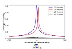 Anti-ELF1 antibody produced in rabbit Prestige Antibodies® Powered by Atlas Antibodies, affinity isolated antibody, buffered aqueous glycerol solution