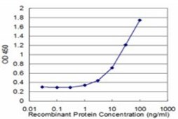 Monoclonal Anti-TSPAN2 antibody produced in mouse clone 1F2, purified immunoglobulin, buffered aqueous solution