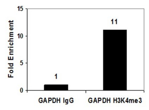 Anti-Trimethyl Histone H3 (Lys4) Antibody, clone CMA304, Trial Size clone CMA304, from mouse