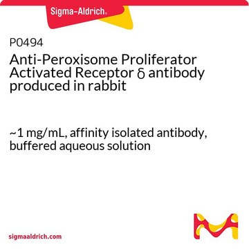 Anti-Peroxisome Proliferator Activated Receptor &#948; antibody produced in rabbit ~1&#160;mg/mL, affinity isolated antibody, buffered aqueous solution