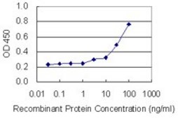 Monoclonal Anti-FBN2 antibody produced in mouse clone 1C2, purified immunoglobulin