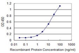 Monoclonal Anti-DDAH2 antibody produced in mouse clone 3E3, purified immunoglobulin, buffered aqueous solution