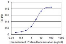 Monoclonal Anti-UBE2S antibody produced in mouse clone 2G7, purified immunoglobulin, buffered aqueous solution