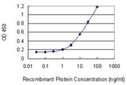Monoclonal Anti-PRKCDBP antibody produced in mouse clone 8D3, purified immunoglobulin, buffered aqueous solution