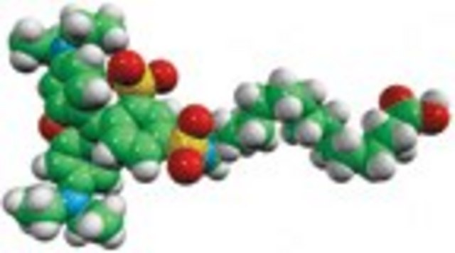 palmitic acid - lissamine rhodamine Avanti Polar Lipids 810104P, powder