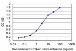 Monoclonal Anti-LHX4 antibody produced in mouse clone 2F3, purified immunoglobulin, buffered aqueous solution