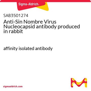 Anti-Sin Nombre Virus Nucleocapsid antibody produced in rabbit affinity isolated antibody