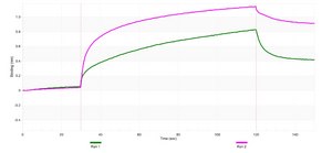 Anti-HNRNPK Antibody, clone 2C9 ZooMAb® Rabbit Monoclonal recombinant, expressed in HEK 293 cells