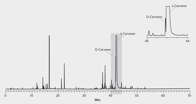 GC Analysis of D &amp; L-Carvone Enantiomers in Scotch Spearmint Essential Oil (Spiked with D-Carvone Enantiomer) on Astec&#174; CHIRALDEX&#8482; G-TA suitable for GC