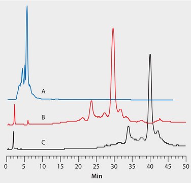 HPLC Analysis of mAb-X22 on Antibodix&#174; WCX-NP10, Impact of Initial Salt Concentration application for HPLC