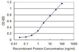 Monoclonal Anti-DEPDC1 antibody produced in mouse clone 6H1, purified immunoglobulin, buffered aqueous solution