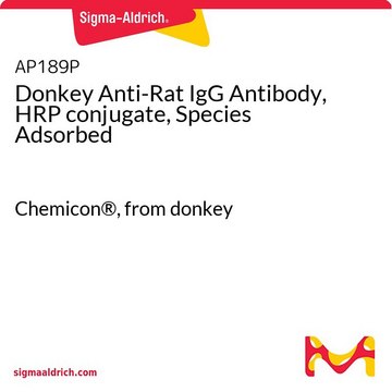 Donkey Anti-Rat IgG Antibody, HRP conjugate, Species Adsorbed Chemicon&#174;, from donkey