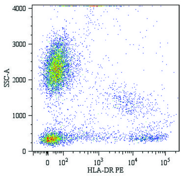 Monoclonal Anti-HLA-DR-PE antibody produced in mouse clone MEM-12, purified immunoglobulin, buffered aqueous solution