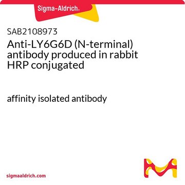 Anti-LY6G6D (N-terminal) antibody produced in rabbit HRP conjugated affinity isolated antibody