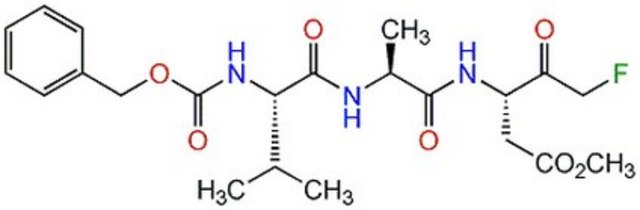 Caspase Inhibitor I InSolution